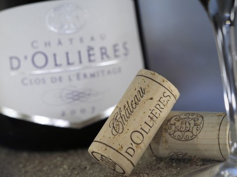 chateau dollieres 19
